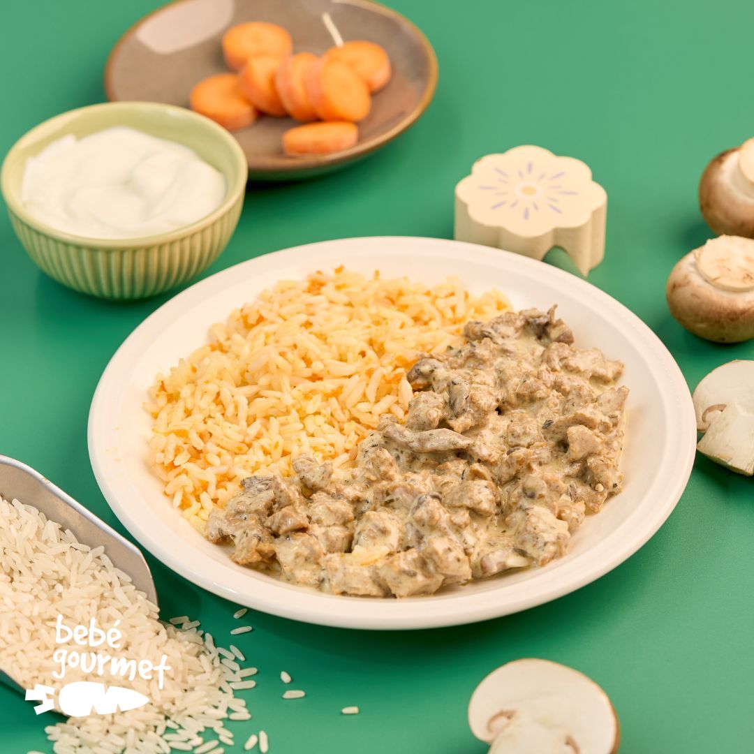 Strogonoff de Seitan com Arroz de Cenoura (12+)