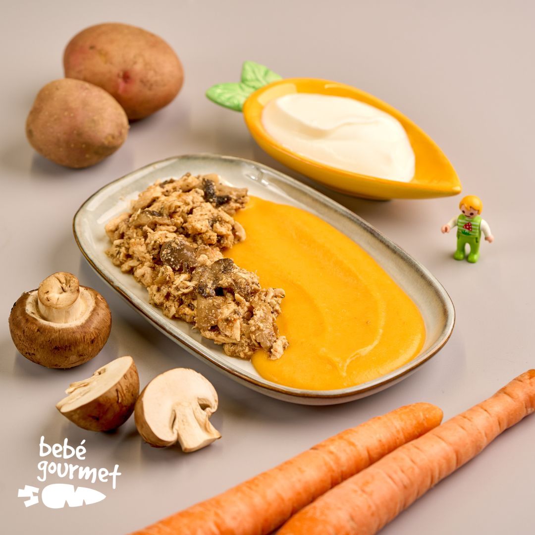 Strogonoff de Peru com Puré de Batata e Cenoura (12+)